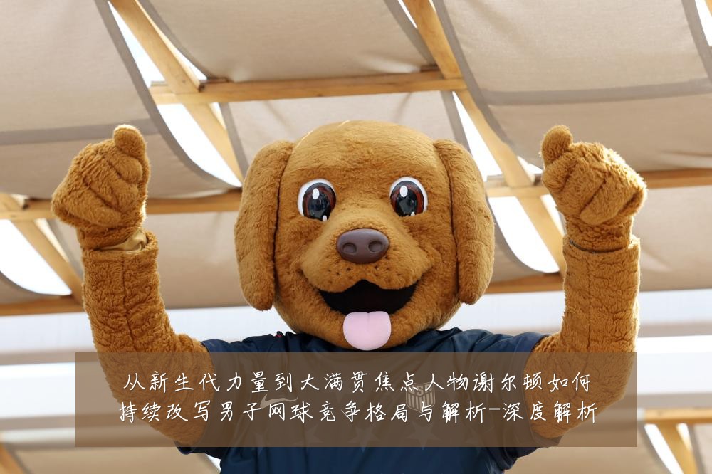 从新生代力量到大满贯焦点人物谢尔顿如何持续改写男子网球竞争格局与解析-深度解析